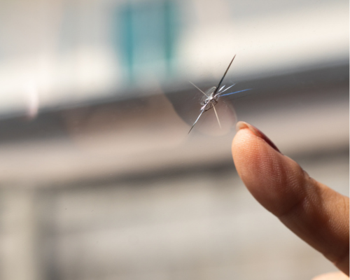 Windshield Repair in Iowa City by Harv’s Auto Body Repair. Image of a cracked windshield of a car with a web of radial splits.