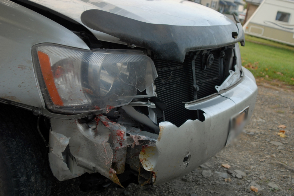 Deer Collision, Collision Repair in Iowa City, IA At Harv's Auto Body Repair. Image of Vehicle front bumper and headlight damage after a deer collision